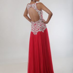 Indian_designer_gown_back