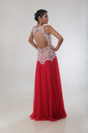 Indian_designer_gown_back