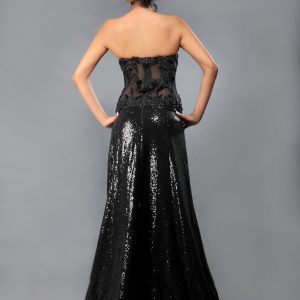 Sheer_sexy_black_gown_back