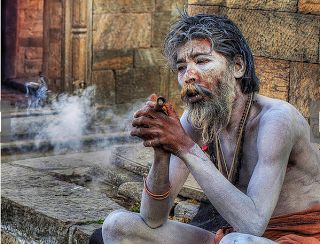 shiv bhakt Weed