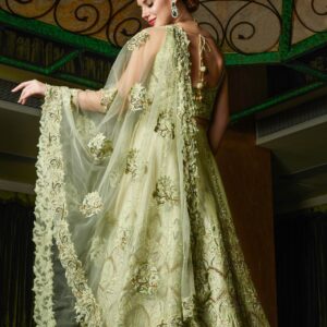 Fairy Tale Mint Hue Lehenga Back